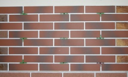 image013